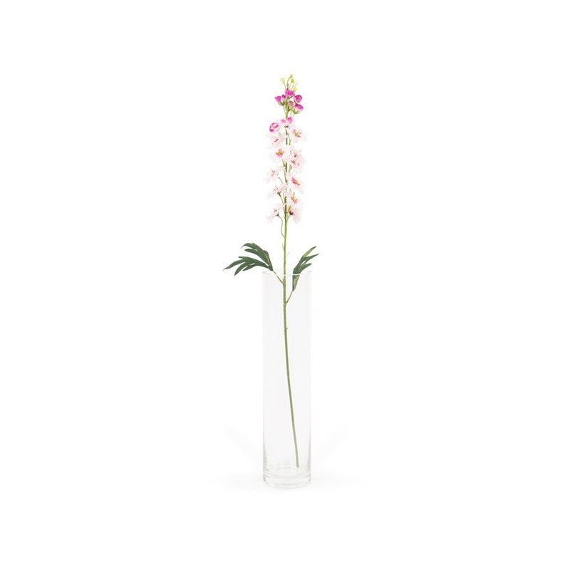Tige Delphinium