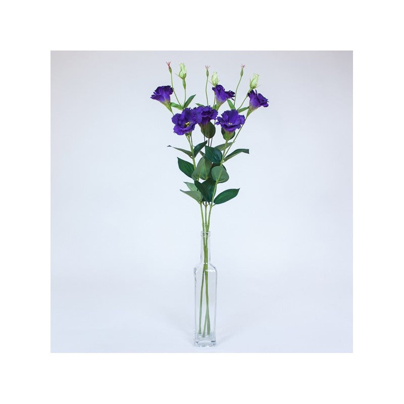 Tige Lisianthus