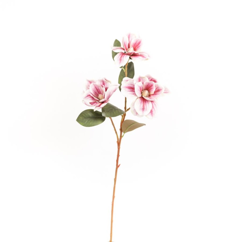 Tige de Magnolia