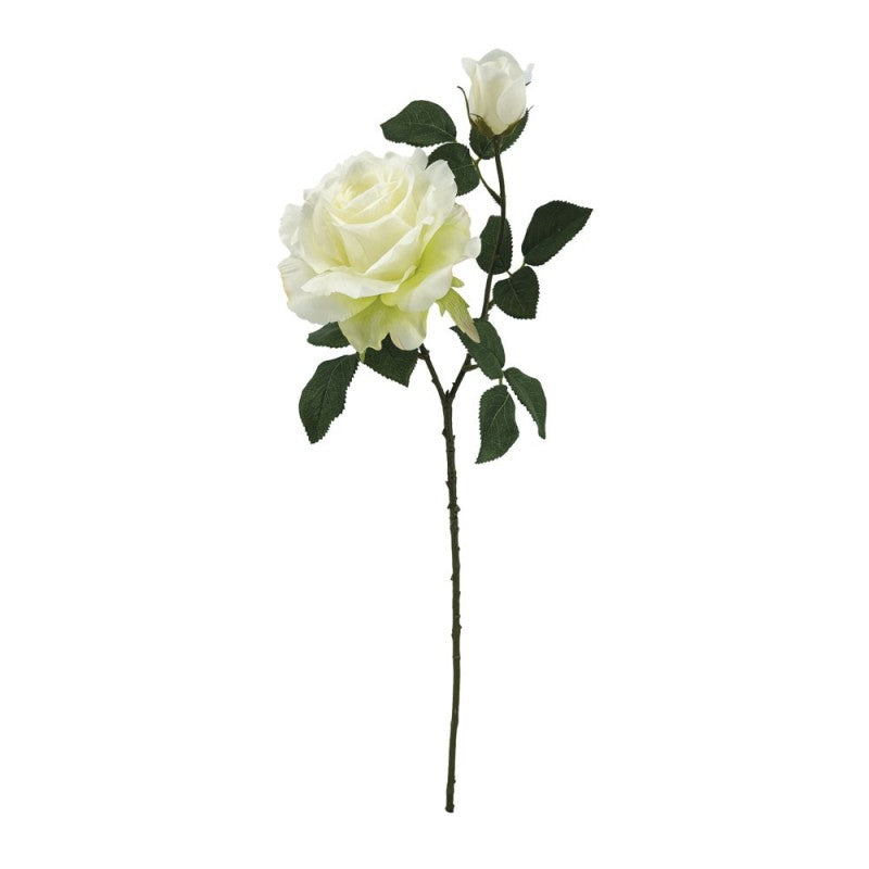 Tige de Rose