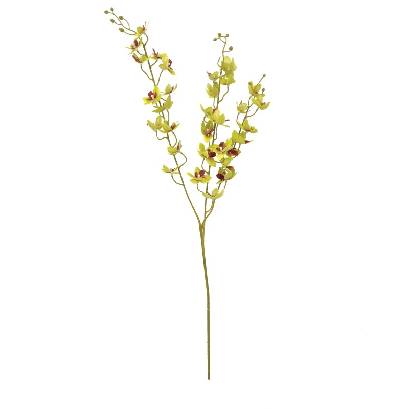 Tige Mini Orchidée