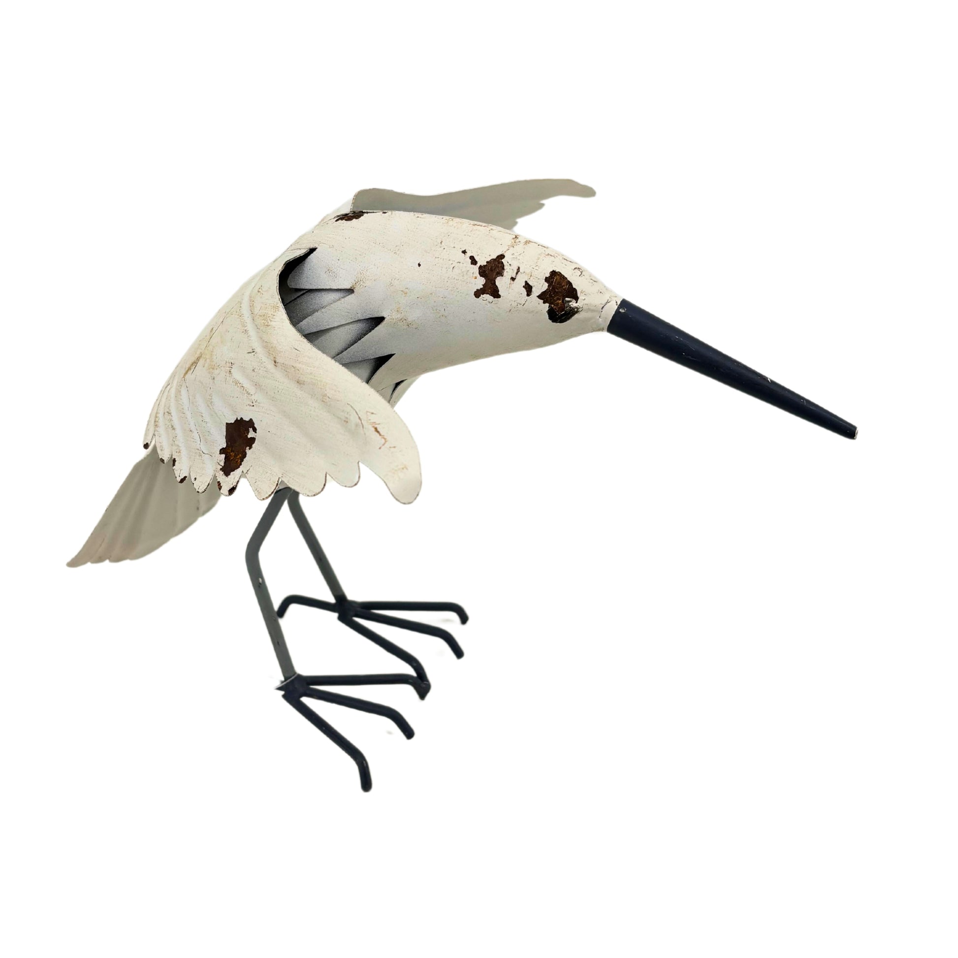 Oiseaux en Fer Blanc