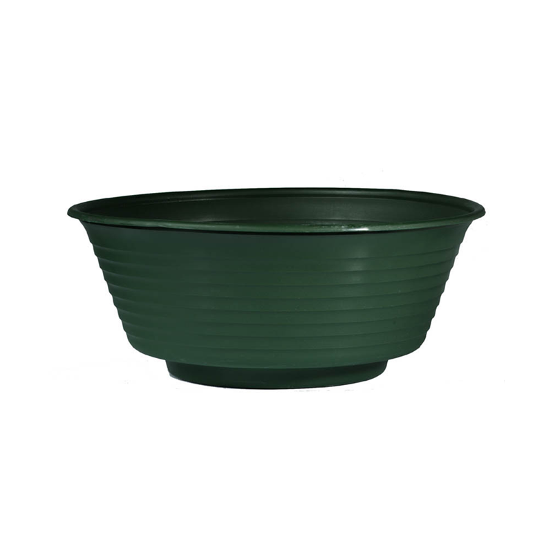 Coupe fleuriste verte