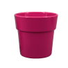 Cache-pots Phalaénopsis Couleurs