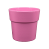 Cache-pots Phalaénopsis Couleurs