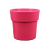 Cache-pots Phalaénopsis Couleurs