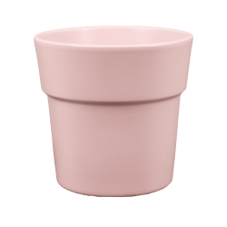 Cache-pots Phalaénopsis Couleurs