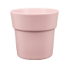 Cache-pots Phalaénopsis Couleurs