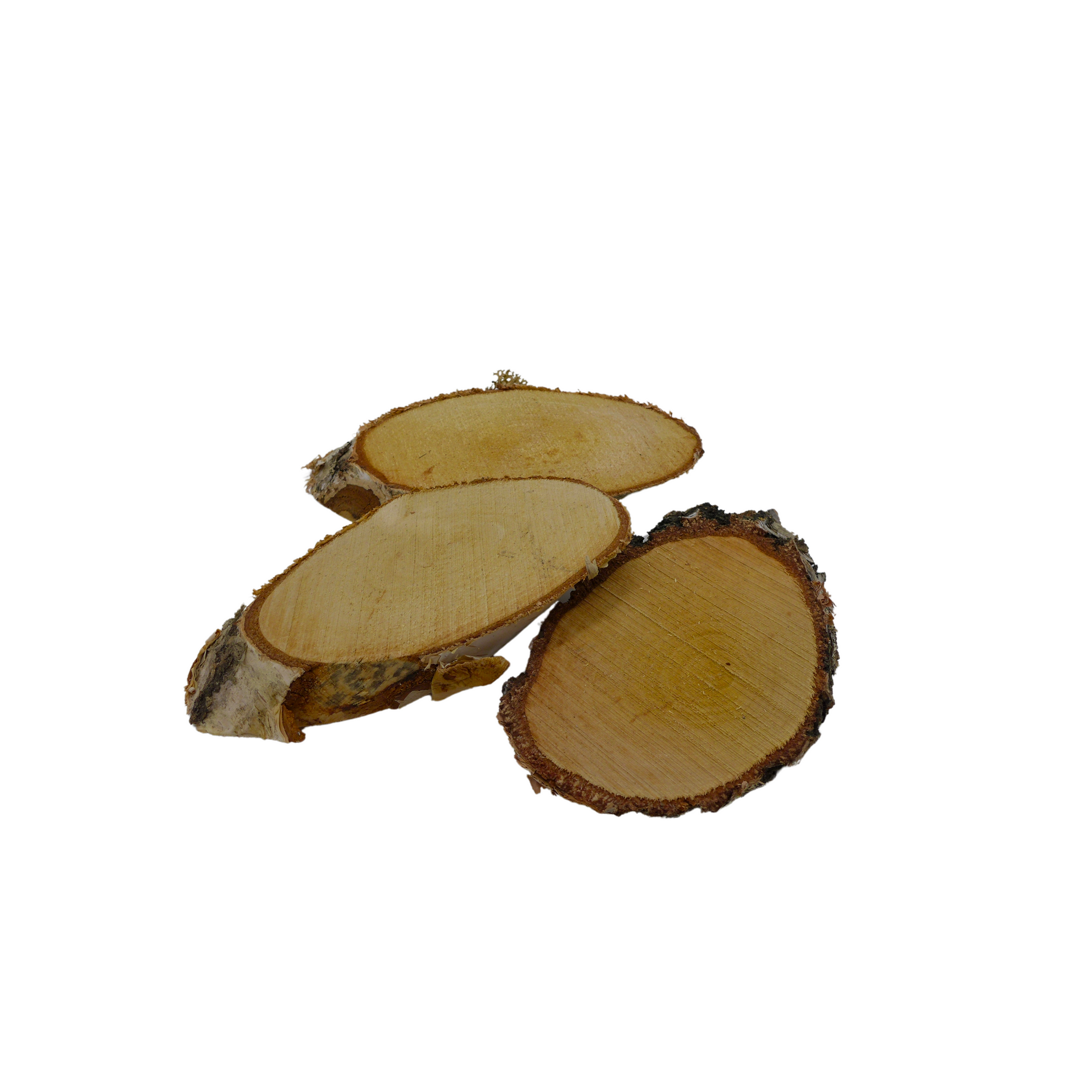 Rondins de bouleau