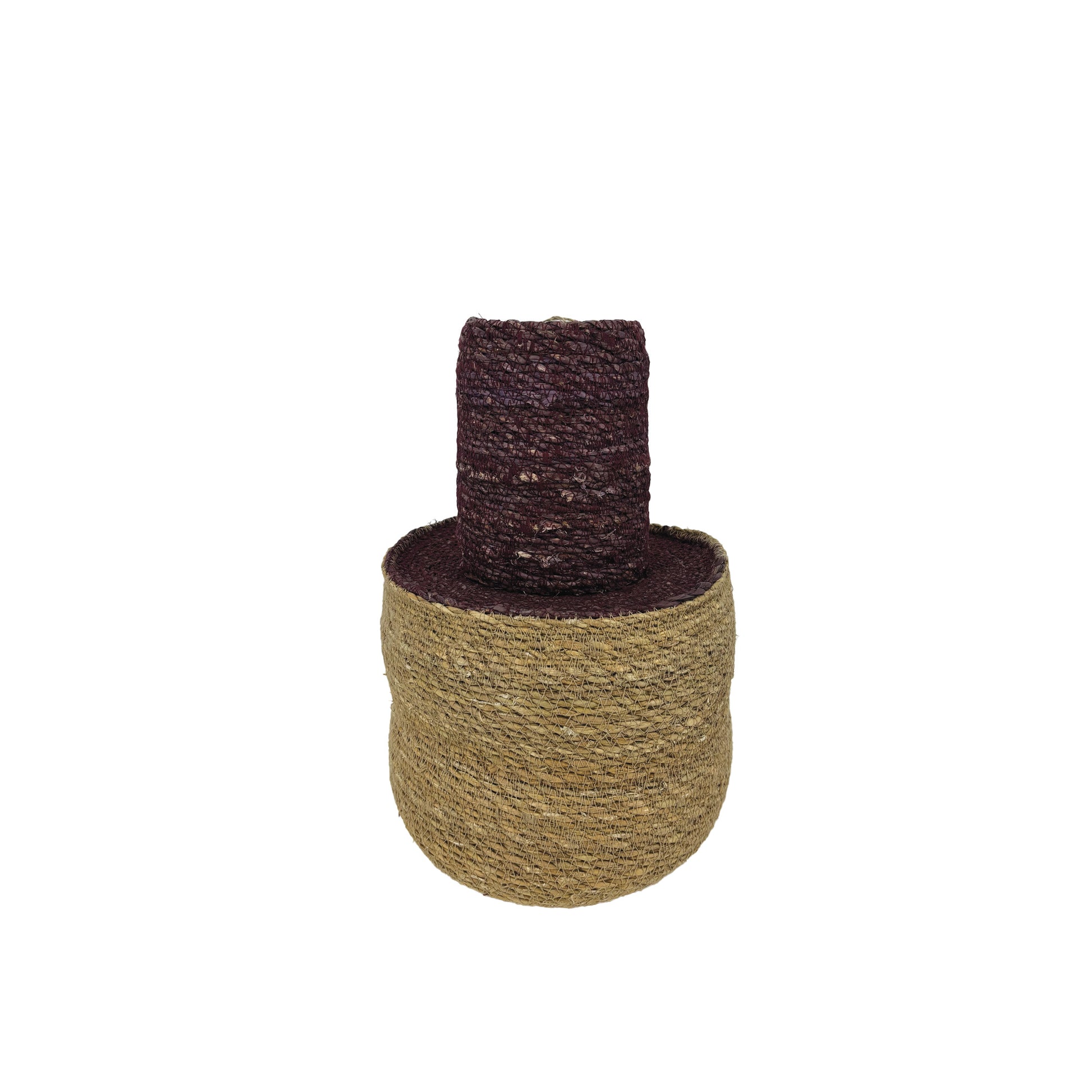 Bouteille Seagrass Violet et Olive