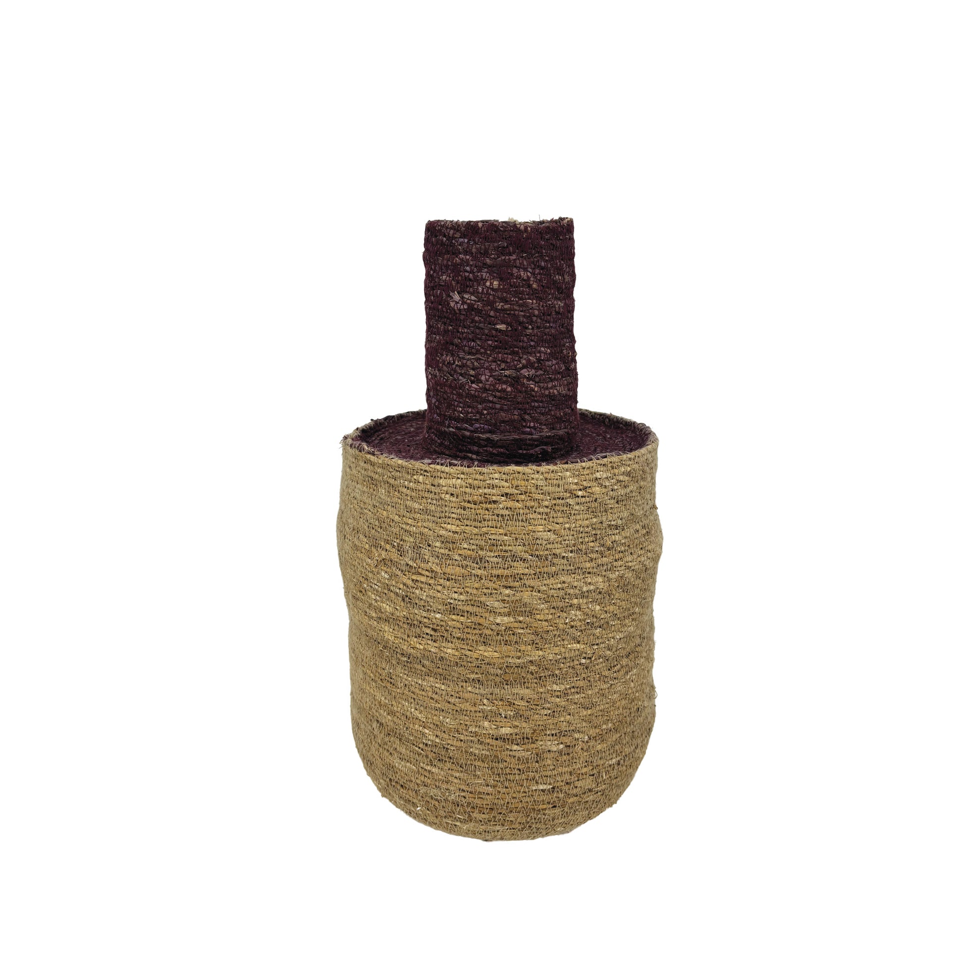 Bouteille Seagrass Violet et Olive