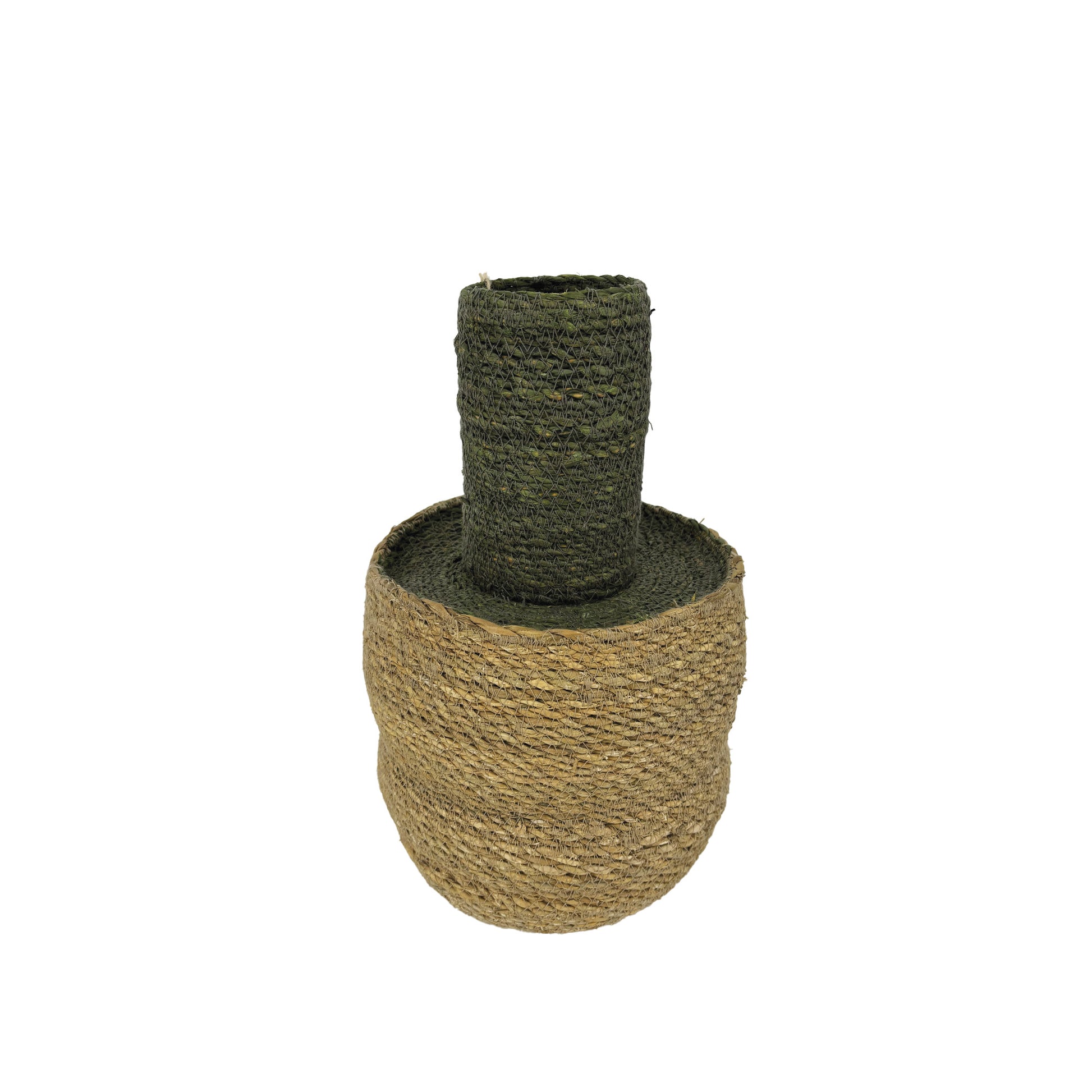 Bouteille Seagrass Violet et Olive