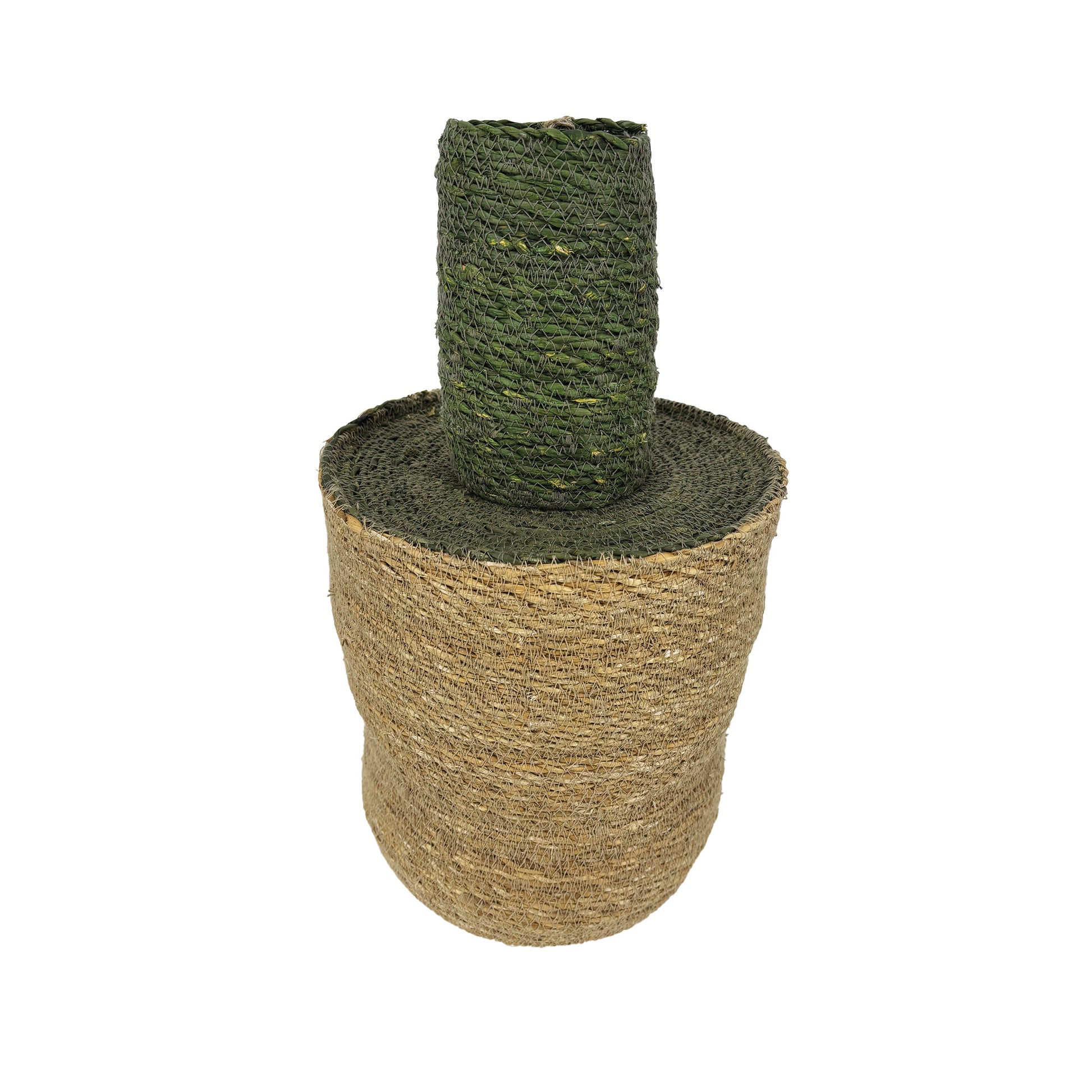 Bouteille Seagrass Violet et Olive