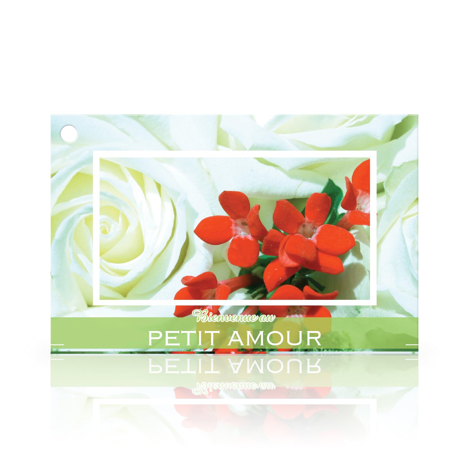 Carte "Bienvenu au petit amour"