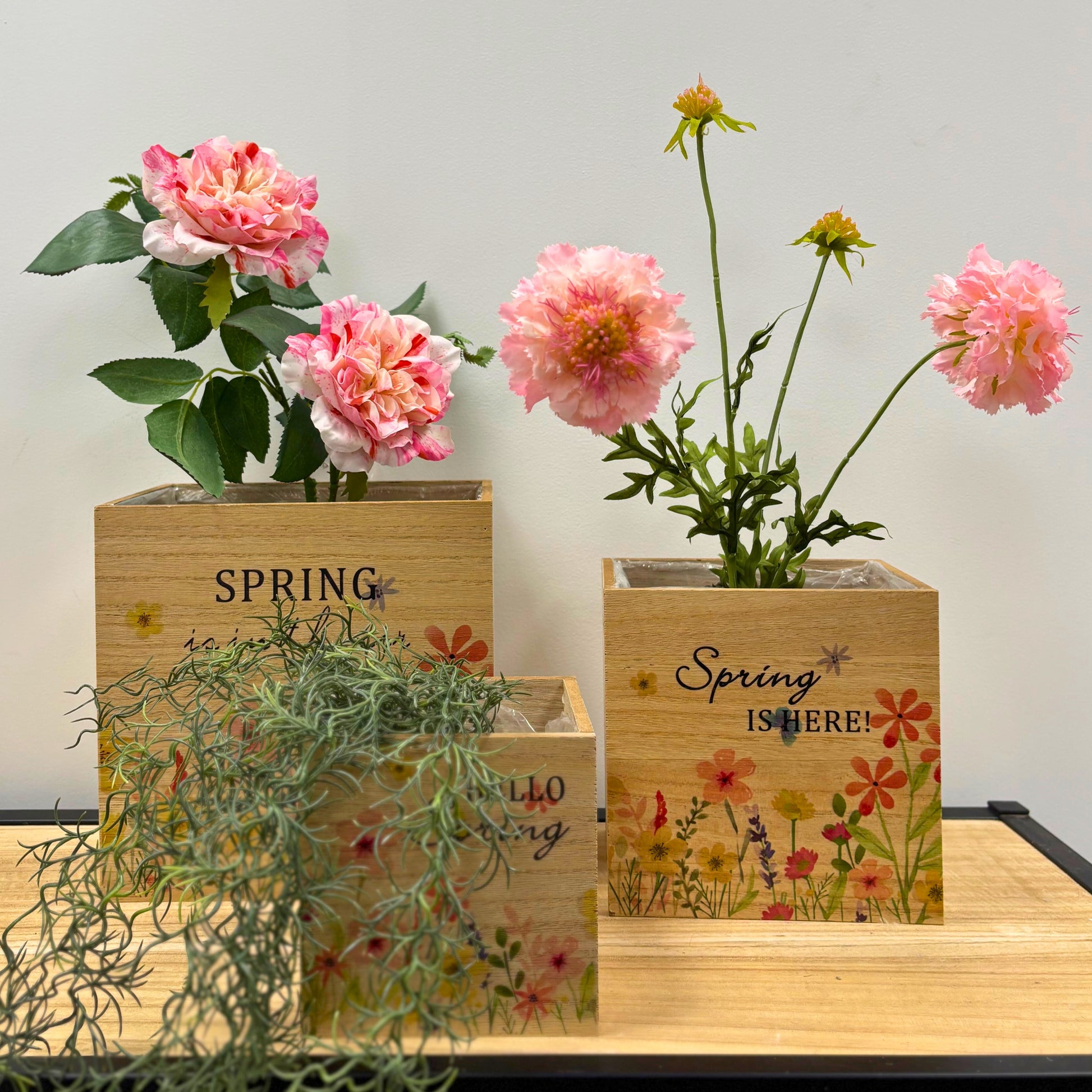 Coupe Carrée en Bois Spring