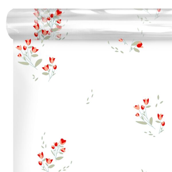 Rouleau Polypro Imprimé Transparent Léandre