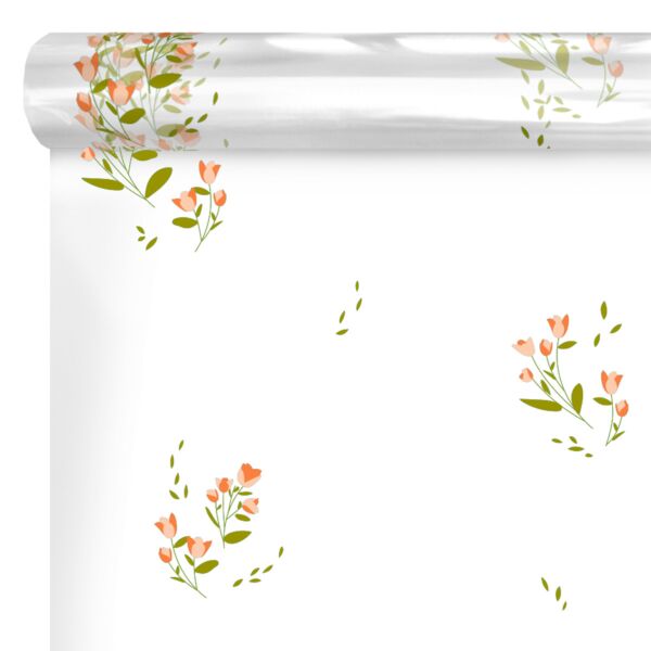 Rouleau Polypro Imprimé Transparent Léandre