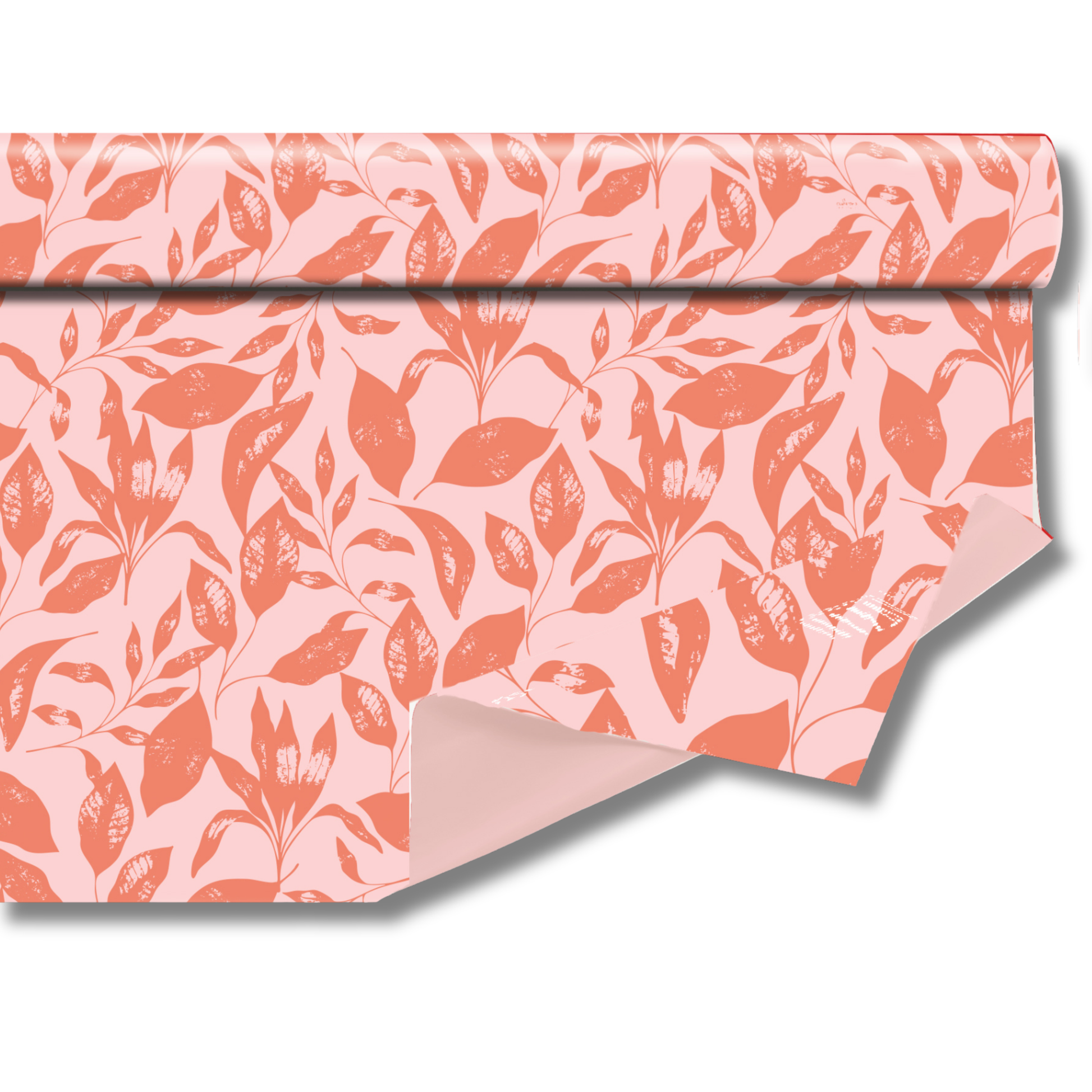 Rouleau Clayrbrill Folia