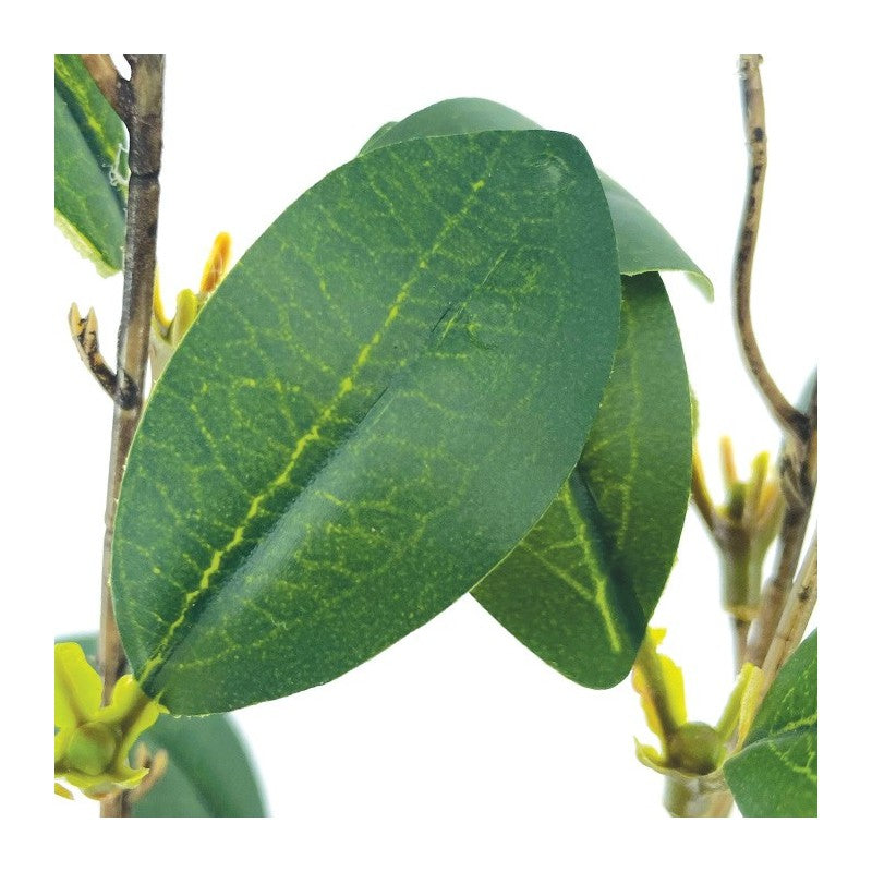 Tige Feuille de Laurier