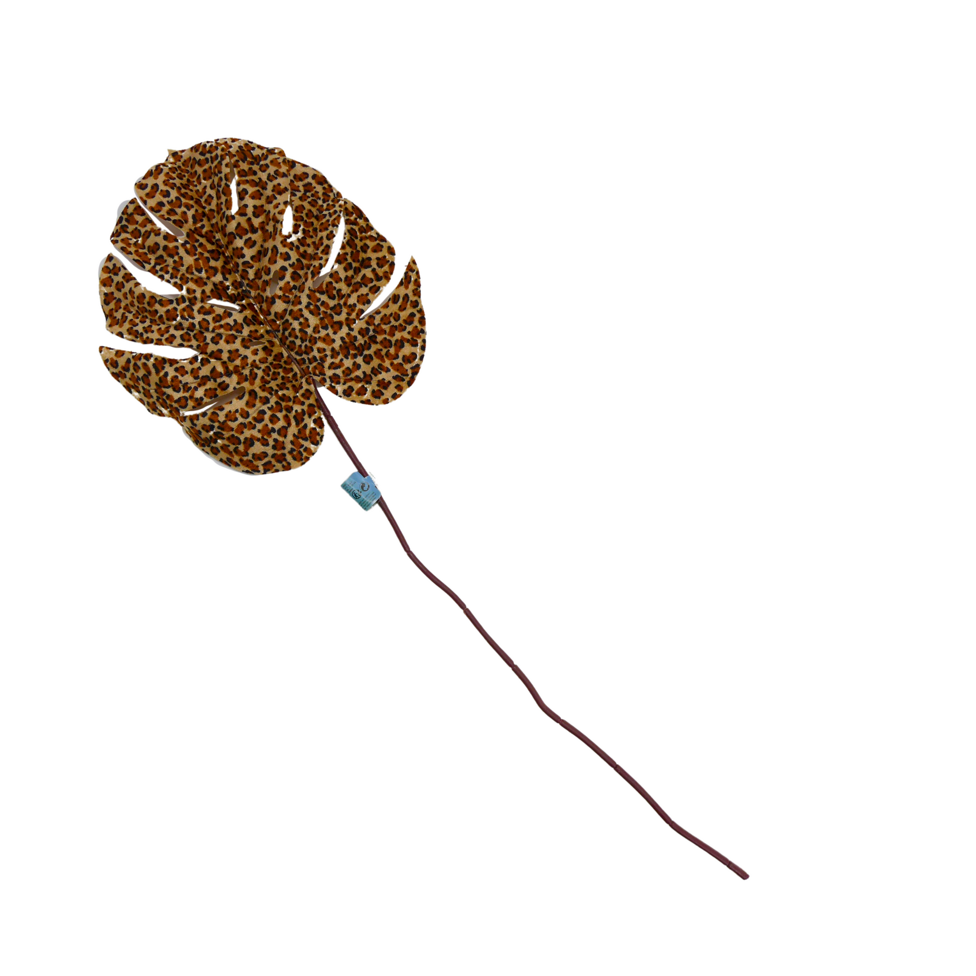 Feuilles Monstera