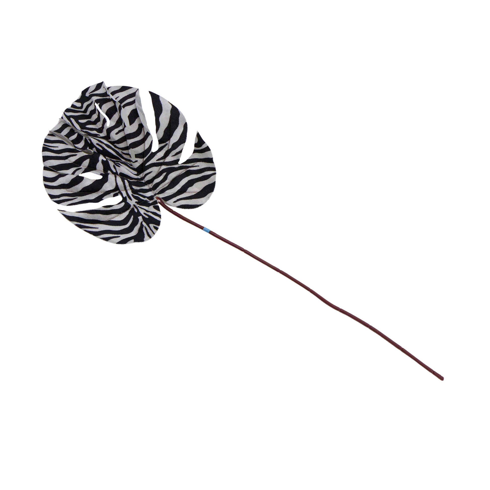 Feuilles Monstera