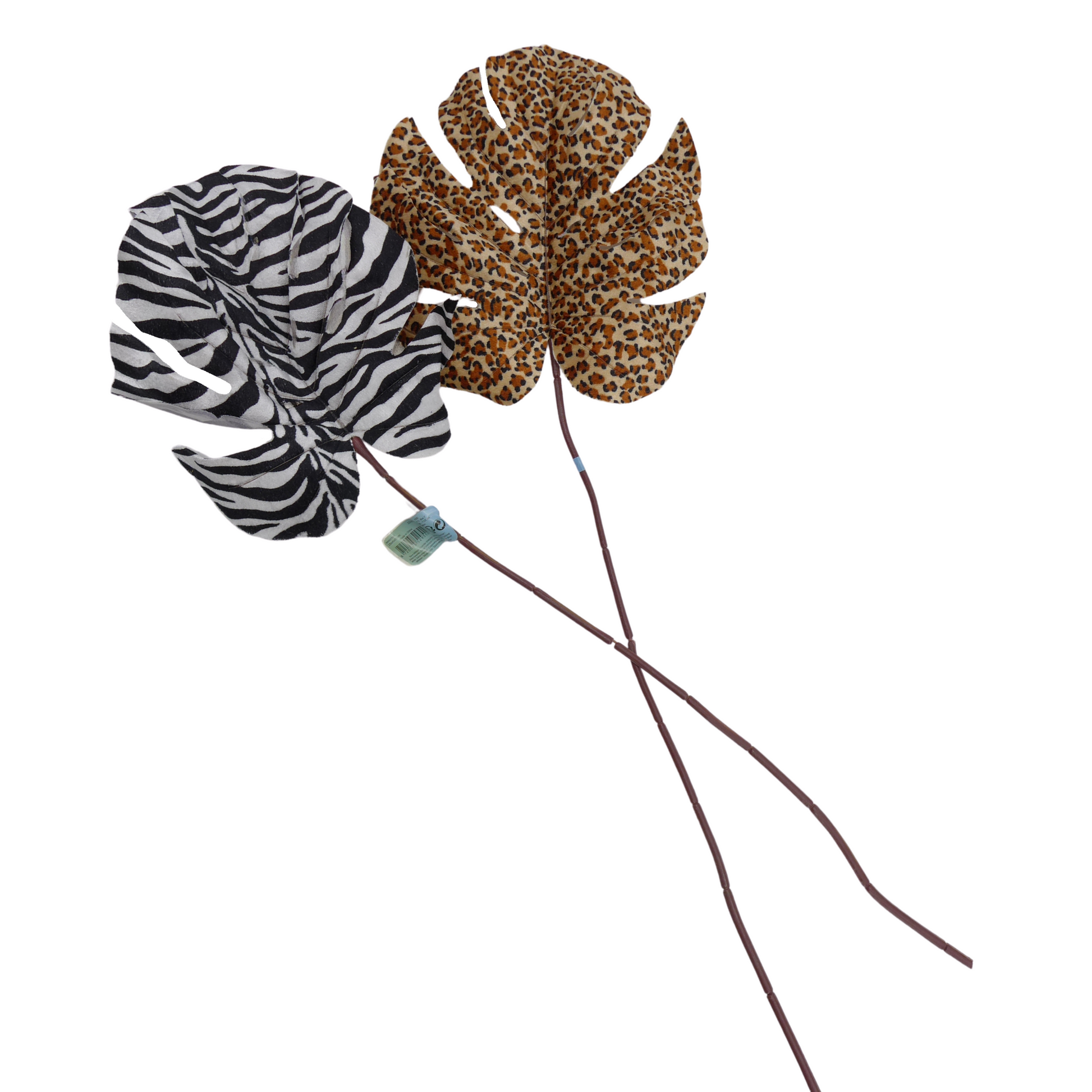 Feuilles Monstera