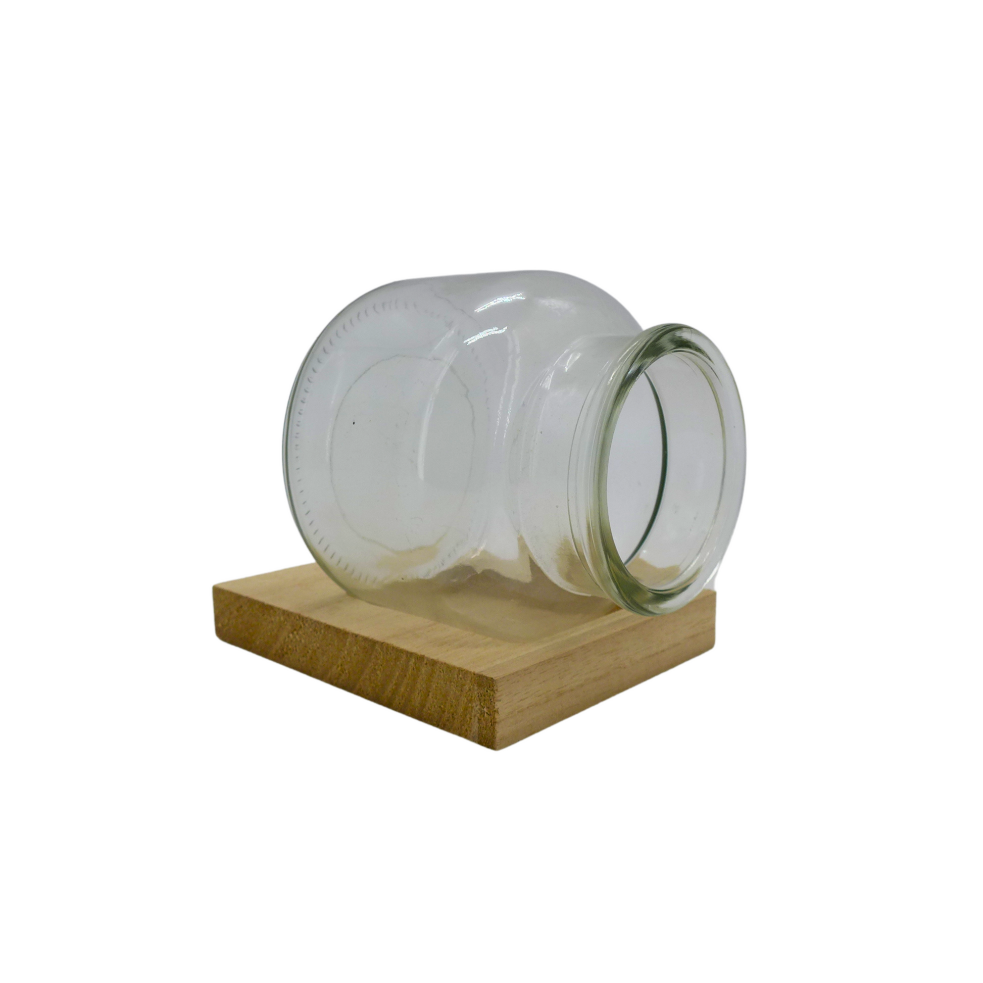 Terrarium sur Bois