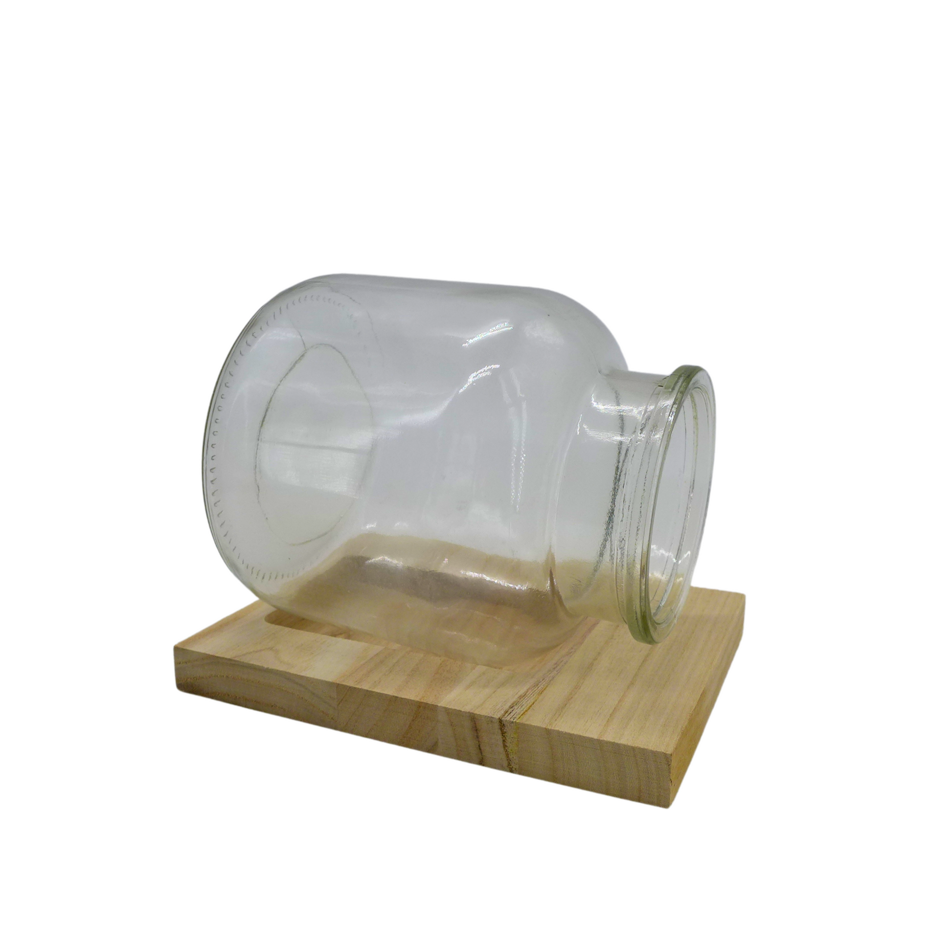 Terrarium sur Bois