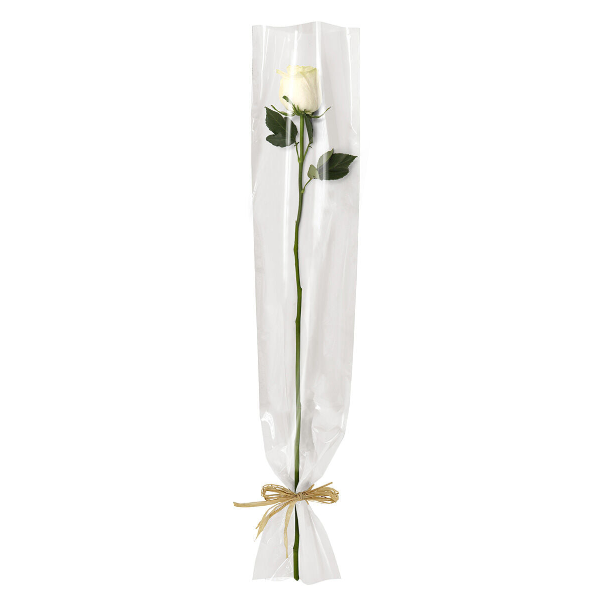 Étui à Rose Blanc