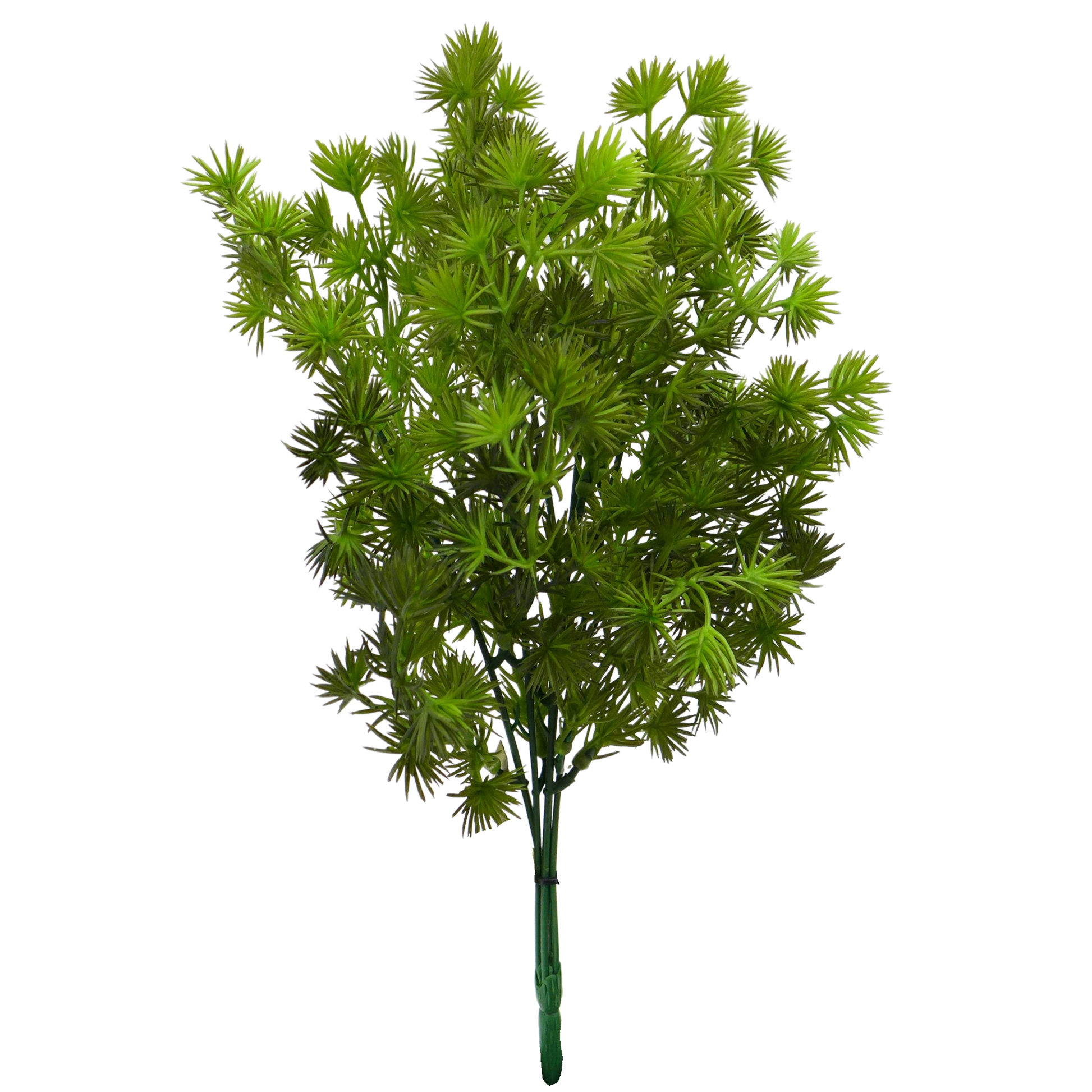 Asparagus artificiel