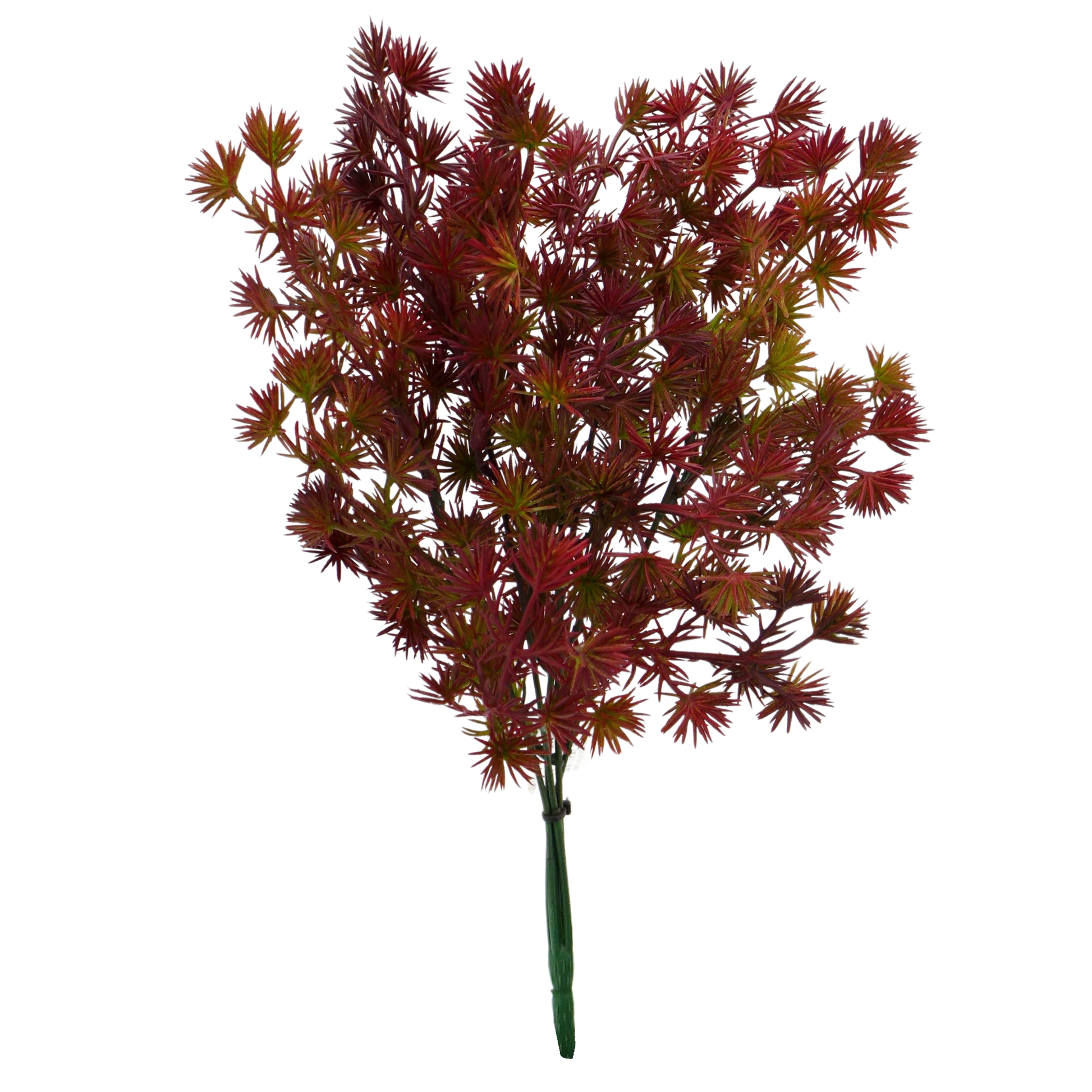 Asparagus artificiel