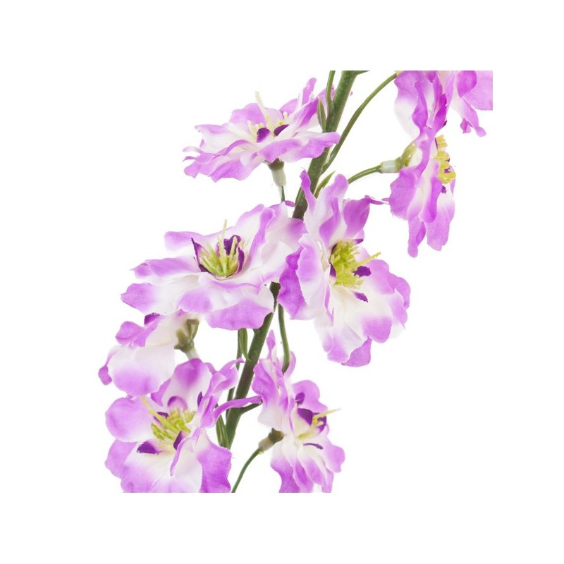 Tige Delphinium