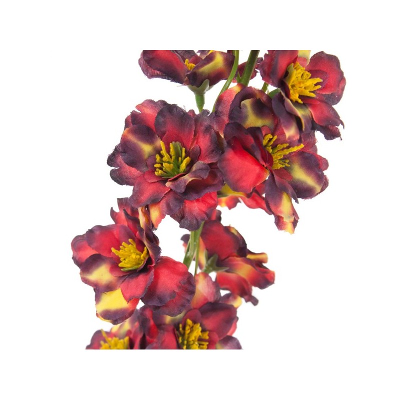 Tige Delphinium