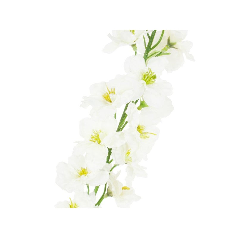 Tige Delphinium