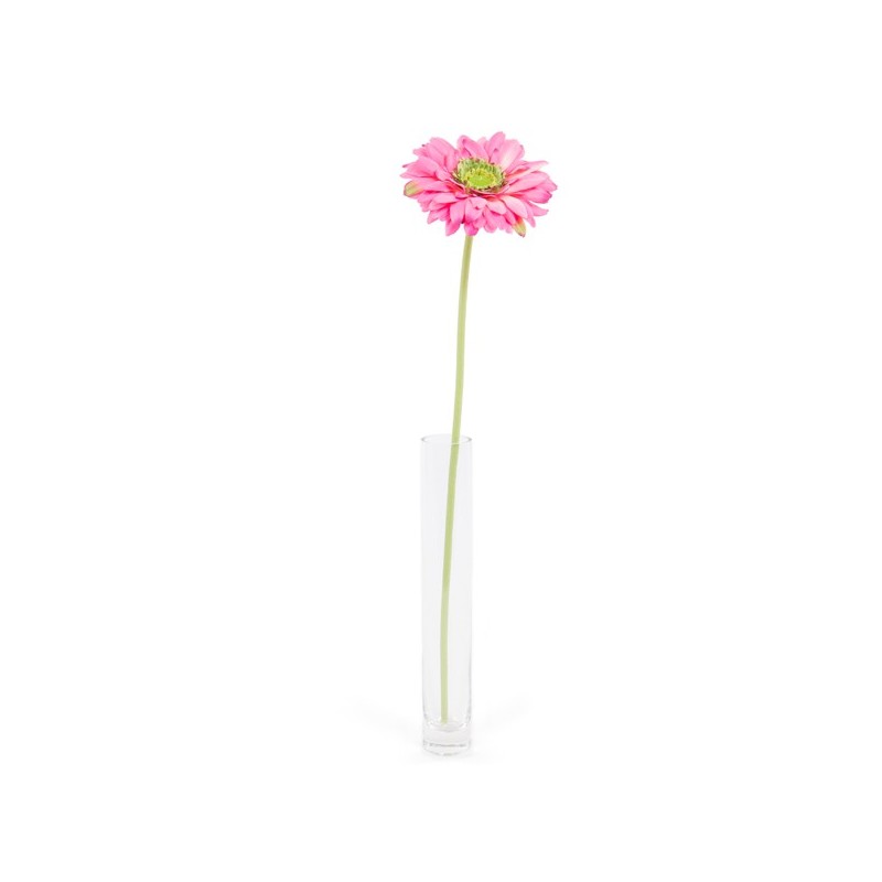 Tige de Gerbera