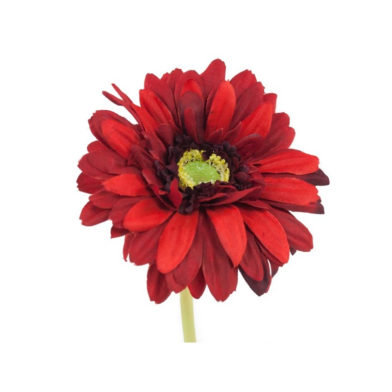 Tige de Gerbera