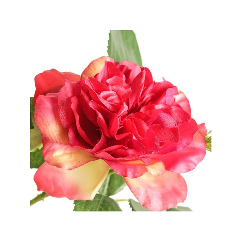 Tige de Rose Charlotte