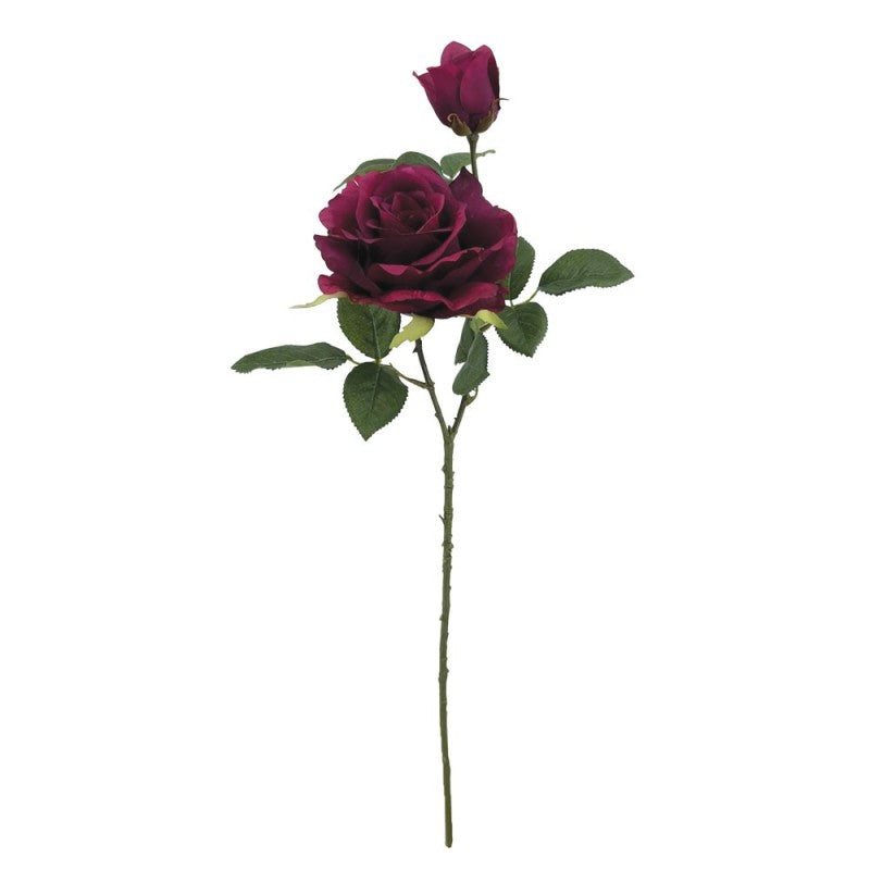 Tige de Rose