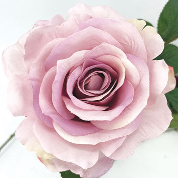 Tige de Rose