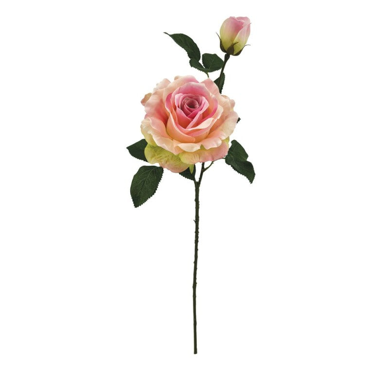 Tige de Rose