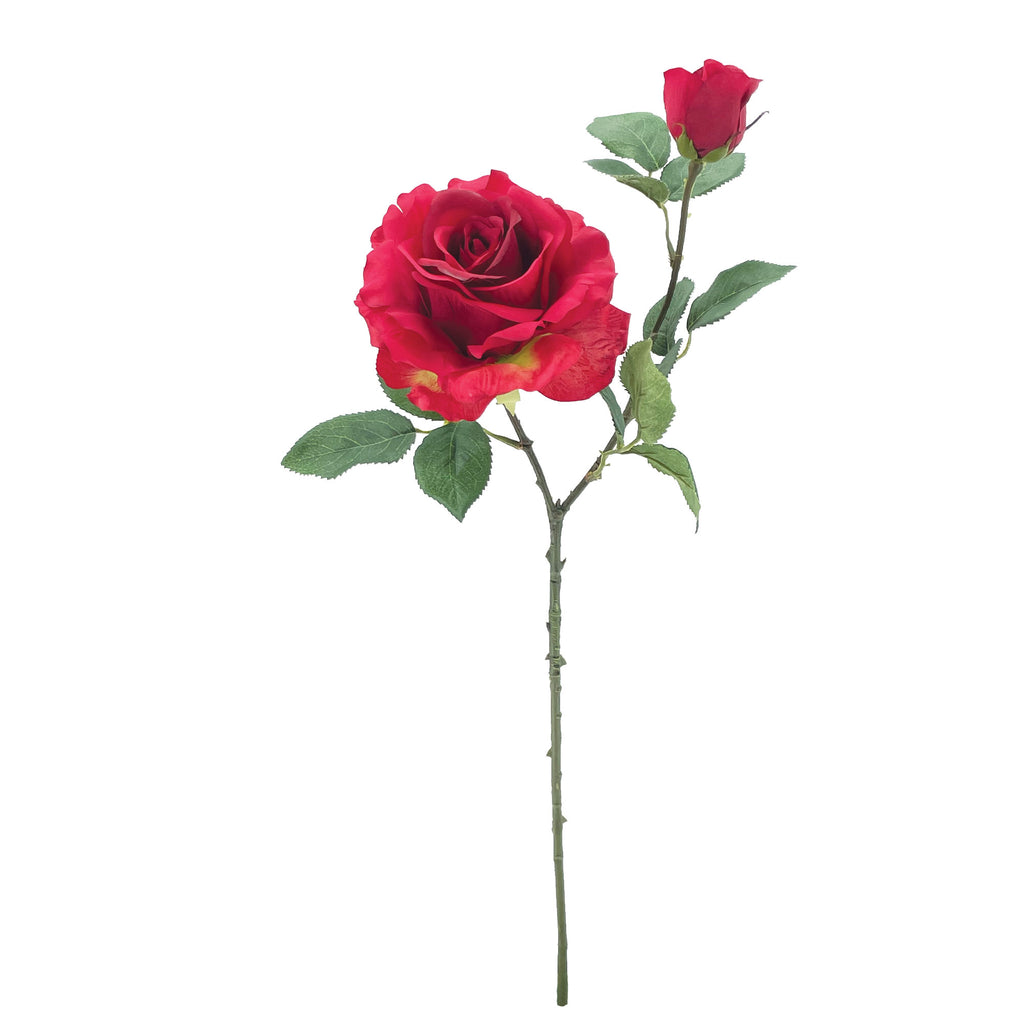Tige de Rose
