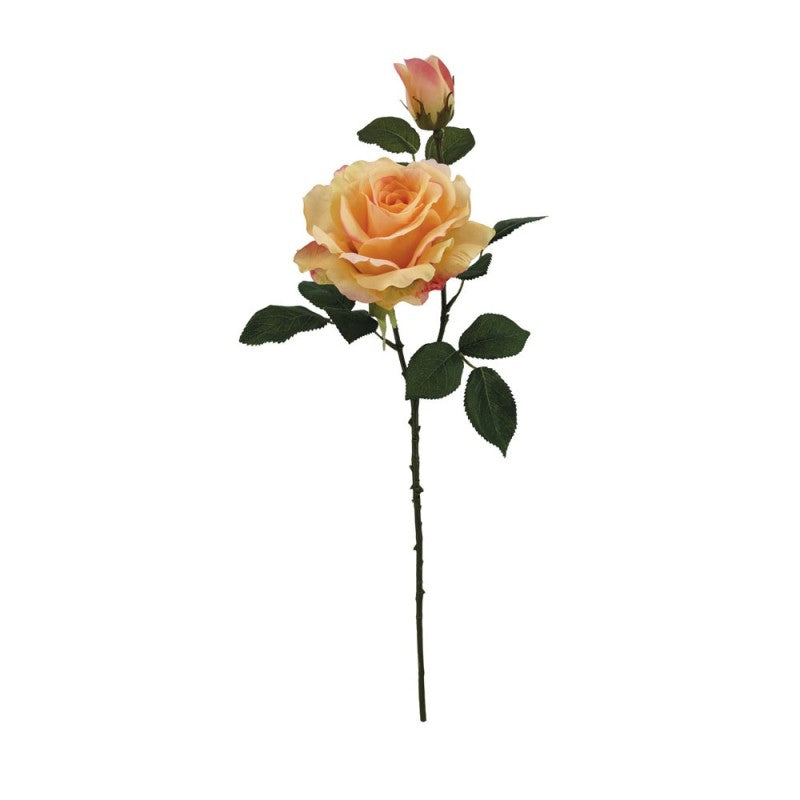 Tige de Rose