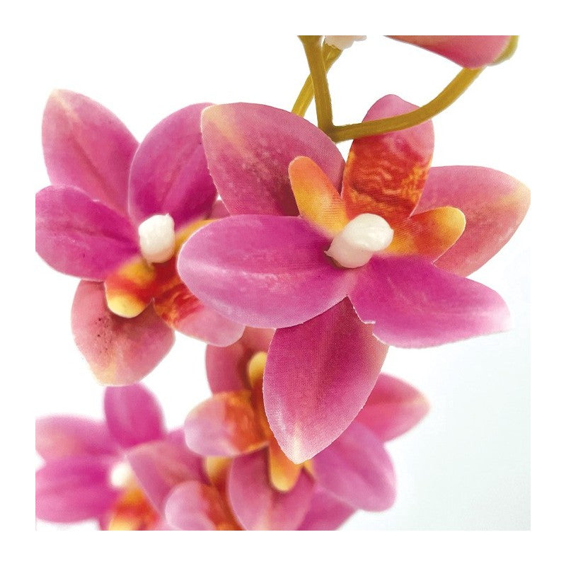 Tige Mini Orchidée