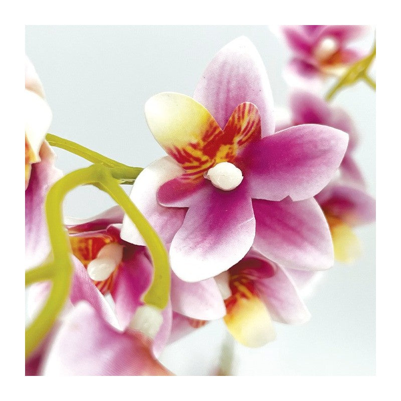 Tige Mini Orchidée