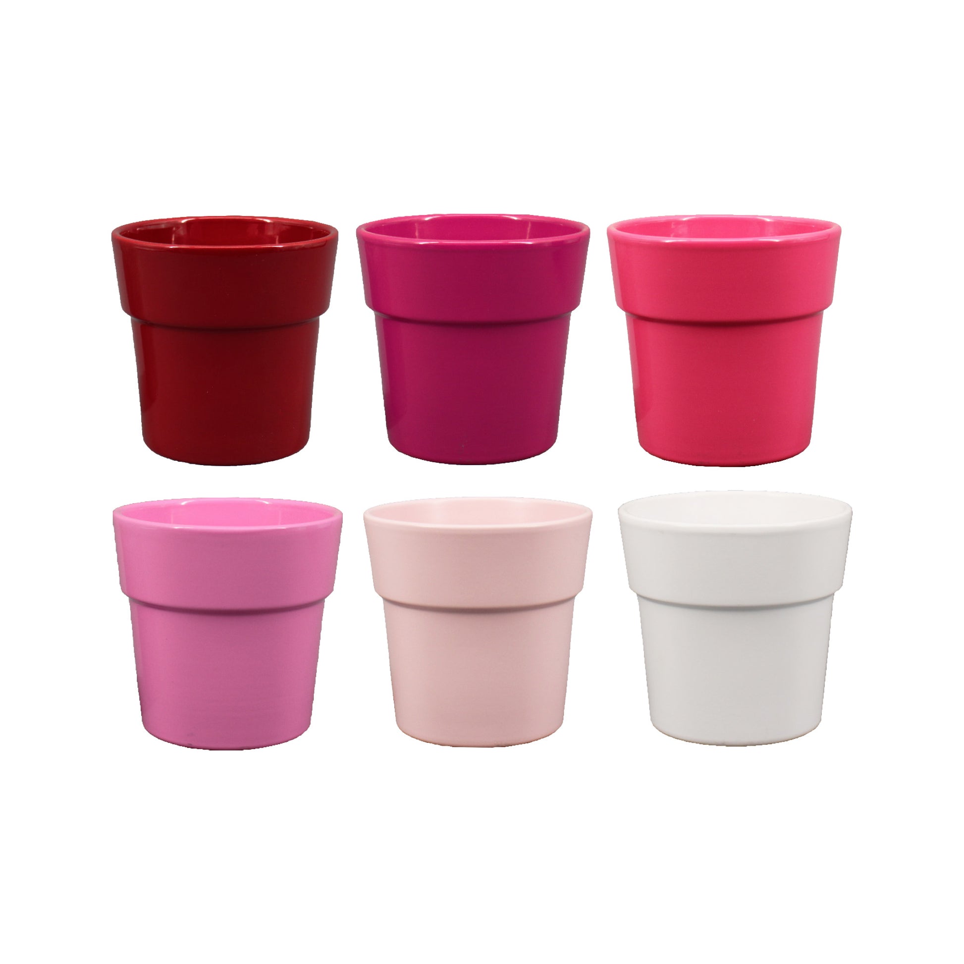 Cache pot Phalaénopsis
