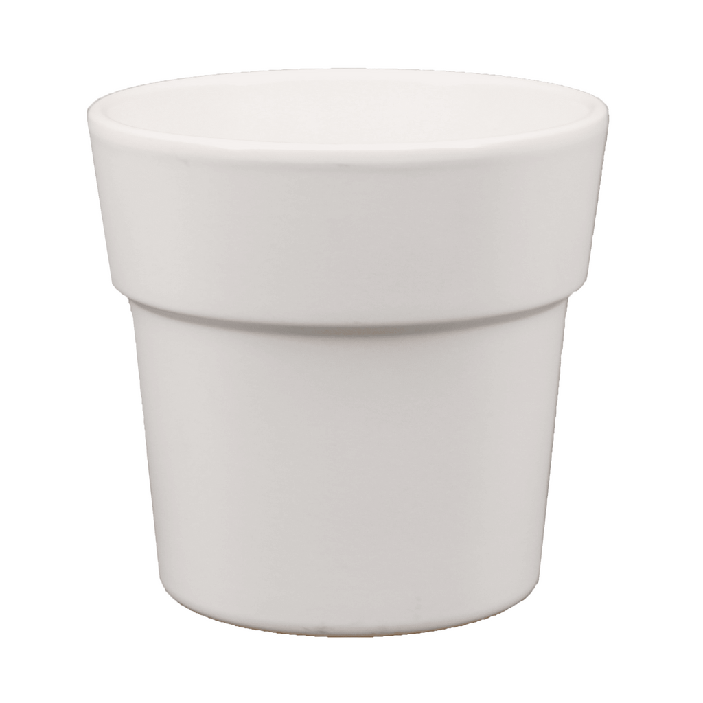 Cache pot Phalaénopsis