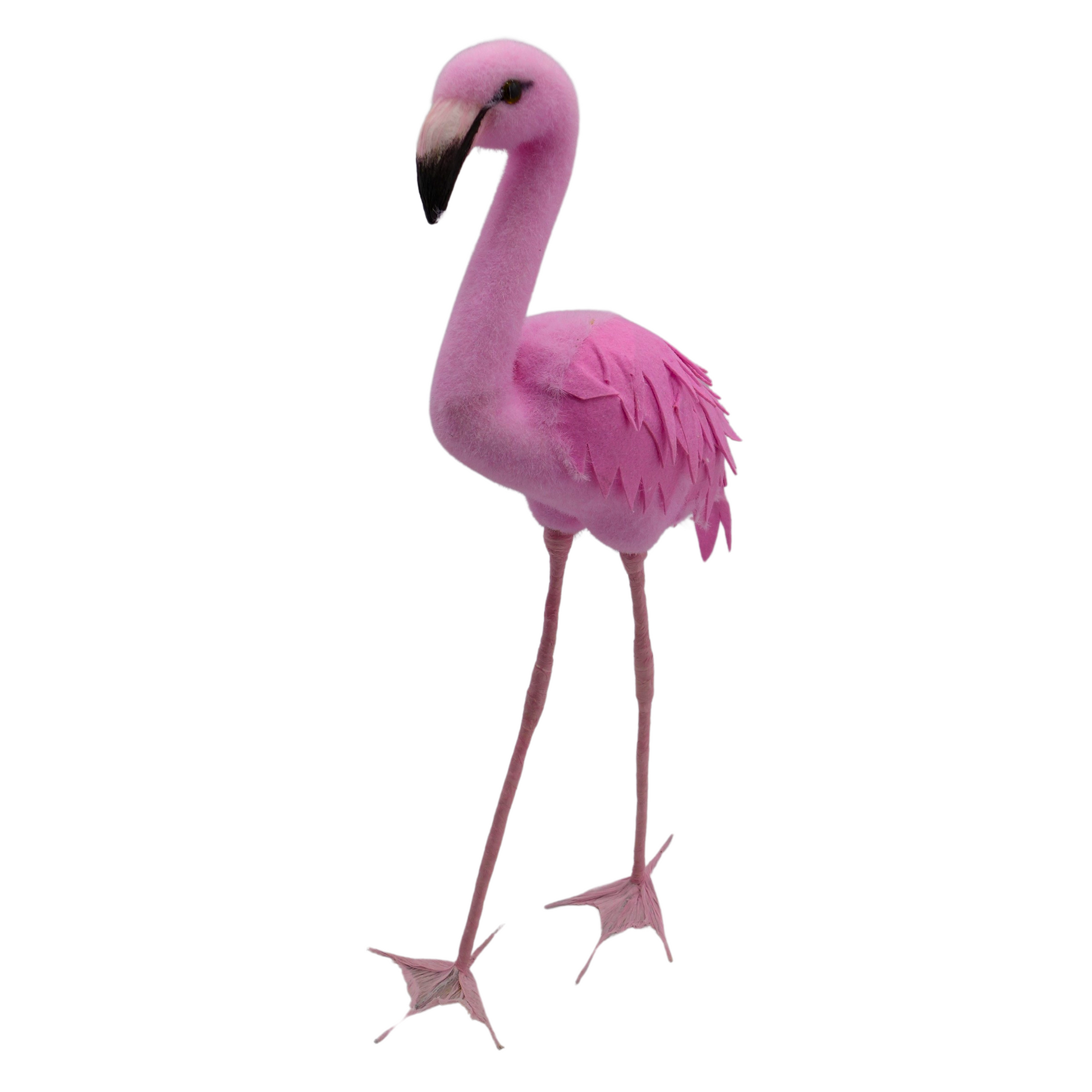 Flamant rose + blanc