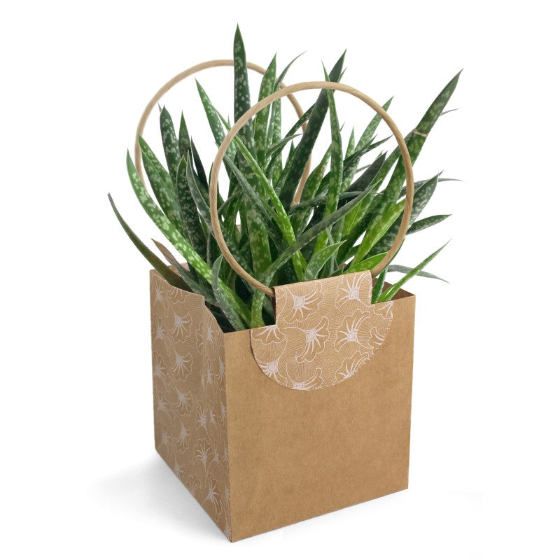 Sac evidence naturel