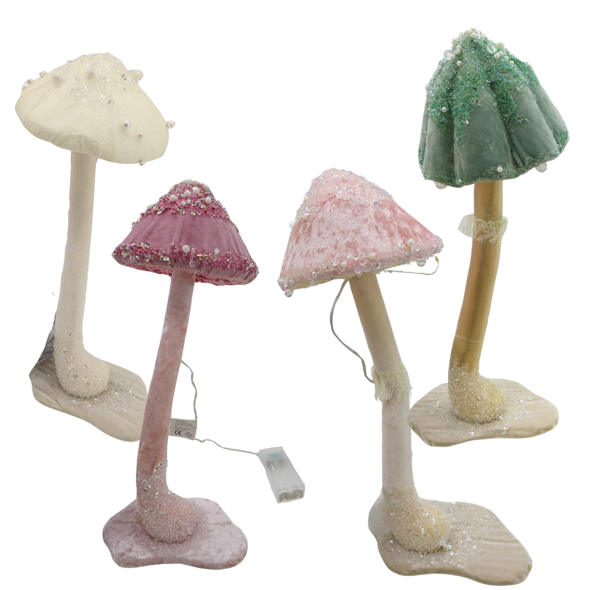Champignons Velours