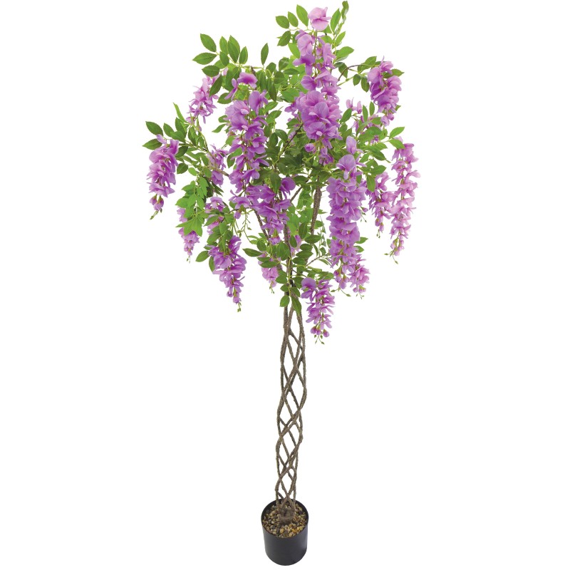 Glycine